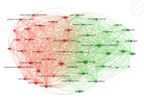 Network visualization of top 49 keywords that were repeated at least 15 times in publications (two clusters).