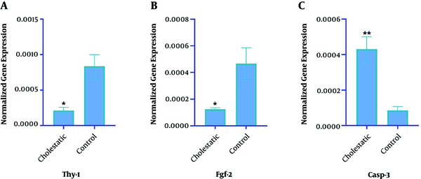 Real-Time PCR showed that Thy-1 (A) and Fgf-2 (B) genes’ expressions decreased while the expression of Casp3 (C) increased in the cholestasis group compared to the control group (Mean ± SD; *: P value &lt; 0.05, **: P value &lt; 0.01).
