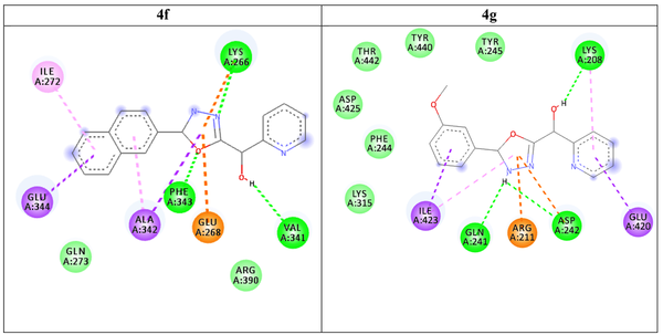 Bonds created by compounds 4f and 4g with the Esp binding site.