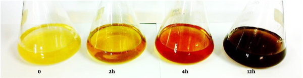 Reduction of Ag ions to AgNPs in the presence of the leaf extract of Berberis vulgaris. Color changes from yellow to dark brown after 12 hours.