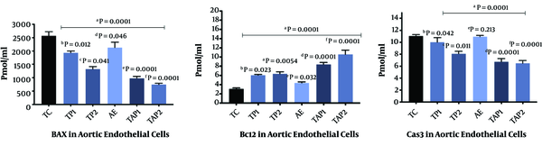 Bcl2, Bax, and caspase-3 levels in the aortic endothelial cells in different groups. Each group consists of 8 rats, and data are expressed as mean ± SD. a Significant effect of Pumpkin (PKs) seed extract and aerobic training exercise in the case groups vs. control group. b TP1 vs. TC. c TP2 vs. TC. d AE vs. TC. e TAP1 vs. TC. f TAP2 vs. TC.