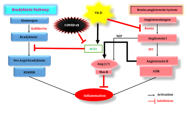 The acting mechanisms of vitamin D on both RAS and bradykinin pathways in COVID-19 patients. Abbreviations: RAS, Renin-angiotensin system; BDKB1R, Bradykinin B1 receptor; Vit. D, Vitamin D; Ang-(1-7), Angiotensin-(1-7); Mas-R, Mas-receptor; ACE2, Angiotensin-converting enzyme 2; ACE, Angiotensin-converting enzyme; AT1R, Angiotensin II receptor type 1; NEP, Endopeptidase.