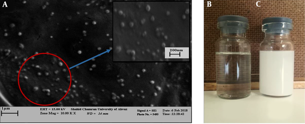 A, SEM image of OEO-loaded chitosan nanoparticles; B, Blank CSNPs; and C, OEO-loaded chitosan nanoparticle solutions