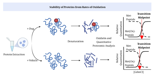 Stability of proteins from rates of oxidation (SPROX) (38). The drug-target interaction increases the protein’s stability against chemical oxidation.