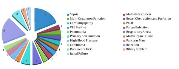 Different causes of death during one-year post-liver transplantation period