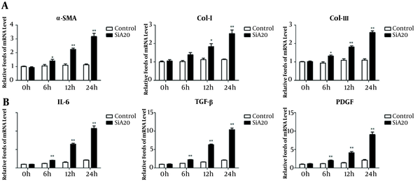 A20 knockdown (siRNA) promotes the mRNA expression of fibrotic markers and LPS-induced inflammatory response in LX-2 cells. A, The mRNA expression of α-SMA, col-I, and col-III in LX-2 cells transfected with A20-siRNA and control exposed to various times of LPS. B, mRNA levels of IL-6, TGF-β, and PDGF in LX-2 cells transfected with A20-siRNA and control exposed to various times of LPS. GAPDH was used as the reference gene. * P &lt; 0.05 and ** P &lt; 0.01 relative to control groups.