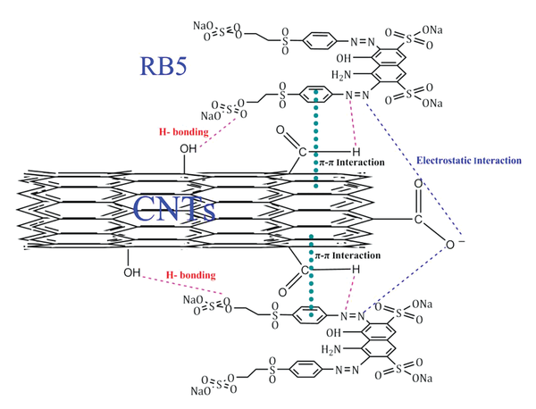 Schematic of the possible mechanism of interaction between RB5 molecules and CNTs