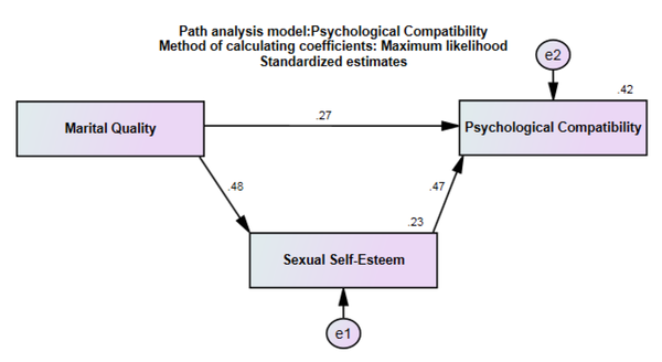 The psychological adaptation path analysis model (in partial mediation mode)