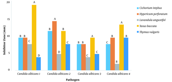 The diameter of growth inhibition zone of different plants extracts against Candida albicans at 100 ppm dilution. Similar letters indicate no significant difference