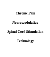 Interv Pain Med Neuromod