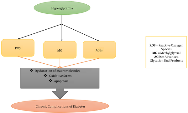 Causes of diabetes complications. Chronic hyperglycemia causes the production of ROS, AGEs, and MG. Macromolecule dysfunction, oxidative stress, and apoptosis begin. Eventually, chronic complications of diabetes develop.