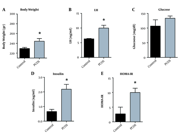 DHEA-injection induces weight gain, increases luteinizing hormone and insulin resistance. (A) Body weights (B) Serum LH, (C) Fasting blood glucose, (D) Fasting serum insulin, and (E) HOMA-IR in control versus DHEA-treated PCOS rats after 28 days. Values are presented as mean ± SEM (* represents a significant difference from the control group P &lt; 0.05).