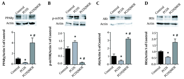 MOE-treatment increases PPARγ, Akt, and IRS1, while decreasing mTOR protein expression in DHEA-induced PCOS rats. Typical western blots of control, DHEA-treated rats (PCOS), and PCOS rats treated with MOE (PCOS/MOE), along with the corresponding β-actin, and graphical representation of the protein expression normalized to β-actin and expressed as fold of control for (A) PPARγ, (B) p-mTOR and mTOR, (C) Akt and (D) IRS1. Values are presented as the mean ± SEM (* represents a significant difference from the control group P &lt; 0.05; # represents a significant difference between PCOS and PCOS/MOE P &lt; 0.05).