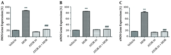 NOS mRNA expression in the hippocampus of morphine (MOR)-dependent mice. Animals received MOR for 5 days. Atorvastatin (ATOR) was administered with the dose of 10 mg/kg (chronic) alone or 45 min before MOR. Data are expressed as mean ± S.E.M. ***, P &lt; 0.001 compared to vehicle; ###, P &lt; 0.001 compared to the MOR-treated animals.