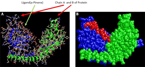 String mapping profiles of protein interaction network stewarding TSPY protein interactions. The protein interacting gene products are designated in blue and green lines. There are wholly 10 hub proteins recognized and many hub proteins designed a tight network or a working module within their protein families.