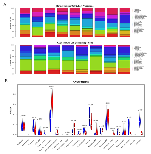 Immune cell infiltration analysis in normal and non-alcoholic steatohepatitis (NASH) samples in the combined dataset. A. Histograms show the infiltration abundance of 22 types of immune cells in eight NASH samples and nine normal controls from the combined dataset (E-MEXP-3291 and GSE89632). B. The violin diagram shows the differences in the abundance of 22 types of immune cells between the NASH and control groups. Blue and red bars indicate normal and NASH samples, respectively.