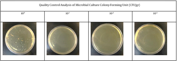 Quality control analysis of microbial culture. There is no microbial colony growth in the present experiment. All plates have been showed from left to right including 100, 10-1, 10-2, and 10-3 colony-forming unit (CFU/g) as serial dilutions of 5% leech cream.
