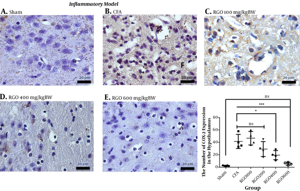 Immunohistochemical analysis of COX-2 expression in the hypothalamus of mice in the inflammatory model of chronic pain. A, Sham; B, CFA; C, RGO 100; D, RGO 400; and E, RGO 600 mg/kg body weight (BW) treatments are shown; F, The number of COX-2-positive cells in the brain (number ± SD; n = 4). Magnification, 1,000×; ns, not significantly different (P &gt; 0.05). Significant differences (*, P &lt; 0.05 and ***, P &lt; 0.001) were determined via one-way ANOVA with Tukey’s post hoc analysis. Linear regression between dose and COX-2 expression r2 value = 0.7040. CFA, complete Freund’s adjuvant; RGO, red ginger oil.