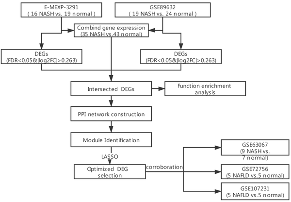 The flowchart of the study. NASH, non-alcoholic steatohepatitis; DEGs, differentially expressed genes; FDR, false discovery rate; FC, fold change; PPI, protein-protein interaction; LASSO, least absolute shrinkage and selection operator.