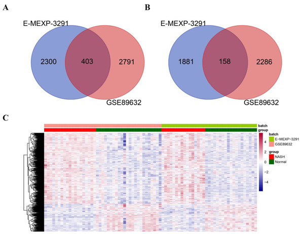 Screening of differentially expressed genes (DEGs) between non-alcoholic steatohepatitis and normal samples in the E-MEXP-3291 and GSE89632 datasets. A-B. Venn diagrams showing commonly upregulated (A) and downregulated (B) genes from the GSE89632 and E-MEXP-3291 datasets. The DEGs were selected with FRD < 0.05 and |log2 fold change (FC)| > 0.263 as thresholds. C. The heatmap shows the differences in the expression of DEGs between NASH and normal samples from the GSE89632 and E-MEXP-3291 datasets.