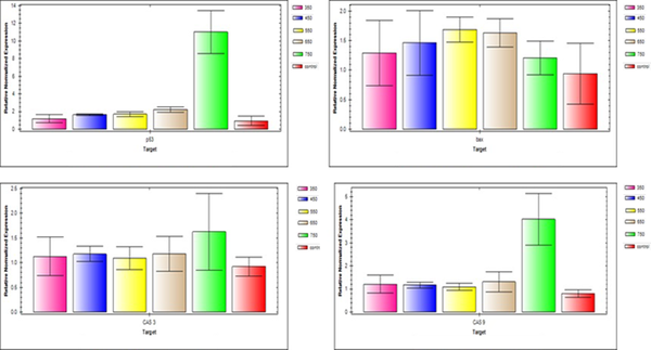 Expression pattern of p53, Bax, caspase3, and caspase9 genes in melanoma cancer cells treated at different concentrations of 350, 450, 550, 650 and 750 μg/mL.