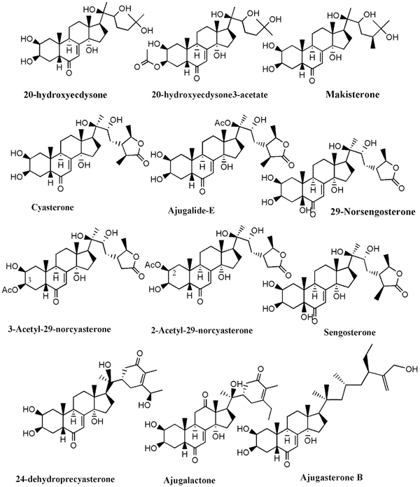 Chemical structure of phytoecdysteroids identified in Ajuga species growing in Iran
