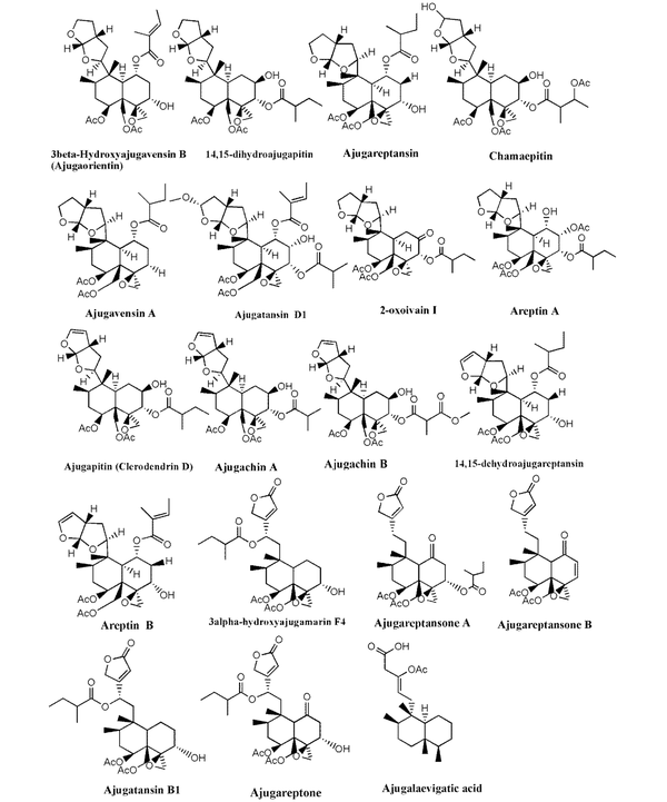Chemical structure of neo-clerodane diterpenoids identified in Ajuga species growing in Iran