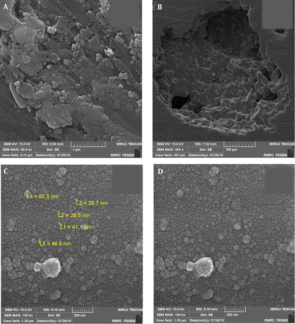 FESEM images of the surface and inside of the sputtering-coated titanium foam; (a) a macropore with a magnification of 500 μm, (b) inside a macropore with a magnification of 1 μm, and (c) and (d) titanium foam surface with a magnification of 200 μm