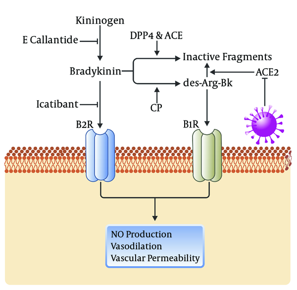 bradykinin-system-a-therapeutic-goal-for-covid-19-archives-of