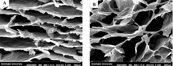 SEM images of the cellular structure of GOA shown in (A) and (B)