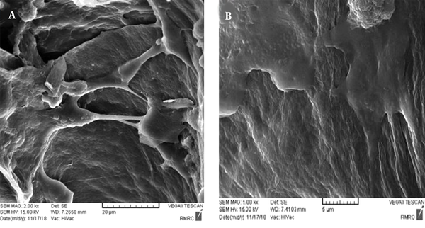 SEM images (A and B in two different magnifications) of the interaction between P19 murine cells and scaffolds after 14 days of culture.