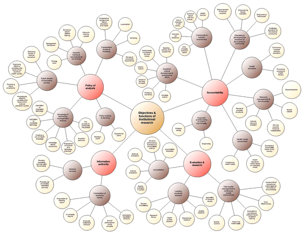 Network of IR function themes extracted from NVivo Software