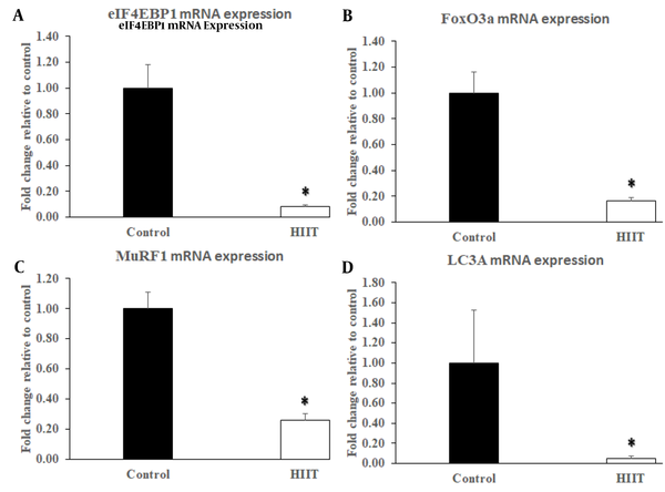Effect of eight-week HIIT on the protein degradation signaling components in rats’ soleus muscle. The exercise training protocol caused a significant reduction in eIF4EBP1 (A), FoxO3a (B), MuRF1 (C), and LC3A (D) mRNA expressions in the HIIT group (n = 8). Data are expressed as mean ± SEM. * Indicates significant difference (P ≤ 0.003) compared with the control group (n = 7).