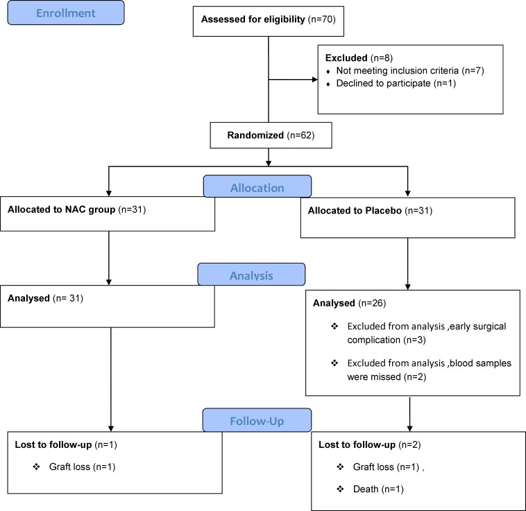 Study of The Effects of N-Acetylcysteine on Oxidative Stress Status of ...