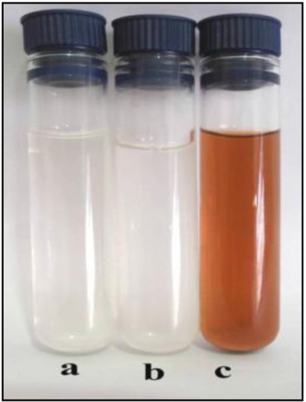 Rapid Extracellular Biosynthesis of Silver Nanoparticles by ...