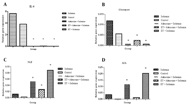 Impact of endurance training pre-conditioning on IL-6, glutamate, NGF, and A2A gene expression. Impact of endurance training pre-conditioning on A, IL-6 (P &lt; 0.05); B, glutamate (P &lt; 0.05); C, NGF (P &lt; 0.05); and D, A2A gene expression (P &lt; 0.05) after induction of ischemia in different groups. Note that, out of all therapies, endurance training had the largest effect on gene expression patterns following ischemia, while adenosine increased expression of NGF and A2A and reduced expression of IL-6 and glutamate genes. Synergistic effects were rather negligible. Symbols indicate significances [* significant difference compared ischemia only group (P &lt; 0.05)].