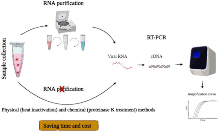 Different Respiratory Samples For COVID-19 Detection By Standard And ...