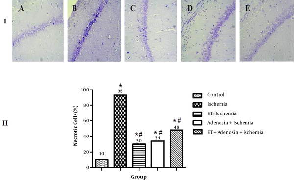 I, cresyl violet staining of the hippocampal CA1 region; A, non-lesion control group; B, ischemia only group; C, endurance training (ET) + ischemia group; D, adenosine + ischemia group; E, endurance training (ET) + adenosine + ischemia group. The ischemic lesion induced a significant rate of necrotic cell death. Note that endurance training and adenosine alone or in combination visibly reduced the rate of cell death (400x magnification); II, comparison of mean percentage of necrotic cells in the hippocampal CA1 region. All groups except for the controls received a transient cerebral ischemic lesion induced by common carotid artery occlusion. Note that cell death was significantly reduced by exercise and adenosine alone, and synergistic effects of both treatments slightly attenuated their benefit [symbols indicate significances: * significant difference compared to untreated controls group (P &lt; 0.05); # significant difference compared to ischemia only group (P &lt; 0.05)].