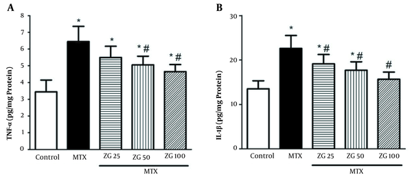 Effects of zingerone on liver tissue levels of TNF-α and IL-1β in rats treated with MTX (mean ± SD; n = 7) [ZG, zingerone; MTX, methotrexate; * Significant difference with the control group (P &lt; 0.05); # Significant difference with the MTX group (P &lt; 0.05)].