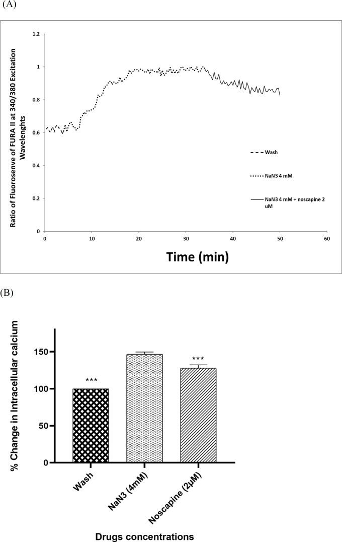 Noscapine Modulates Neuronal Response to Oxygen-glucose Deprivation ...