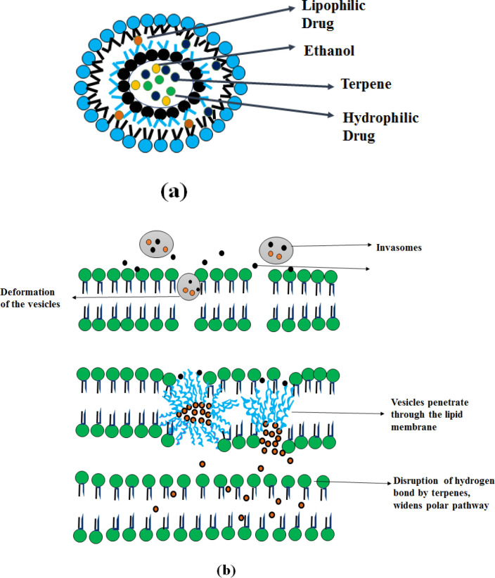 A Comprehensive Review on Preparation, Evaluation and Applications of ...