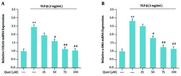 α-SMA and Collagen1α (COLA1) mRNA expression in the presence of TGF-β (2 ng/mL) and quercetin for 24 h in LX2 cell line: A, relative COLA1 mRNA expression in the presence of different concentrations of quercetin for 24 h; B, relative α-SMA mRNA expression in the presence of different concentrations of quercetin for 24 h. Results are the mean ± SEM of three replicates and expressed as fold changes in α-SMA and COLA1 mRNA expression compared to the control group. GAPDH was used as the reference gene (**P &lt; 0.01 vs vehicle-treated control; #P &lt; 0.05 vs TGF-β alone; ## P &lt; 0.01 vs TGF-β alone).