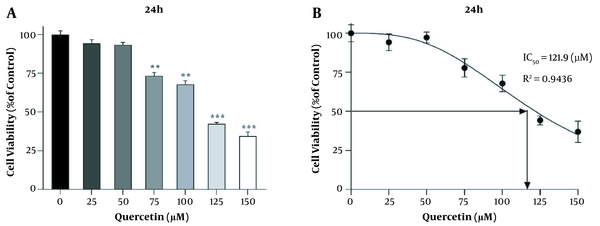 Effect of different concentrations of quercetin on the survival of LX2 cells. A, B, MTT assay results showing cell viability under different quercetin concentrations over 24 h. Results are shown as mean ± SEM. Statistical analysis was performed by one-way ANOVA and Tukey post hoc test using GraphPad Prism 9 software (**P &lt; 0.01, ***P &lt; 0.001).