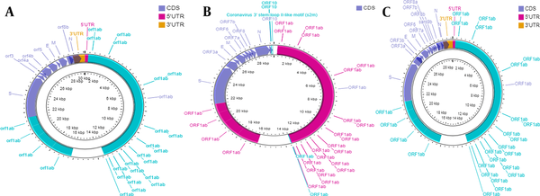Genome organization of three different beta coronaviruses. A, SARS-CoV; B, SARS-CoV-2; and C, MERS-CoV. Figure were developed by using CGView DNA Plotter (13).