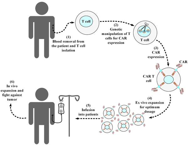 Standard procedure of manufacturing a conventional autologous chimeric antigen receptor T-cell product. Blood samples are collected from the respective patients, and then T cells are collected from them. In a sterile environment, the isolated T-cells are genetically manipulated for the expression of the desired chimeric antigen receptor (CAR) molecule. Next, the developed CAR T-cells are expanded ex vivo to reach the desired dosage for infusion into the patients. Afterward, the manufactured CAR product is cryopreserved and then packed for shipping into the desired medical center in which the related patients are awaiting treatment. In the medical center, the product is thawed by professional staff and then intravenously infused into the patients. In the cases of allogeneic CAR T-cell products (i.e., “off-the-shelf”), the source of the T-cells used for the manufacturing of the desired CAR T-cells is from healthy donors rather than the patients themselves.