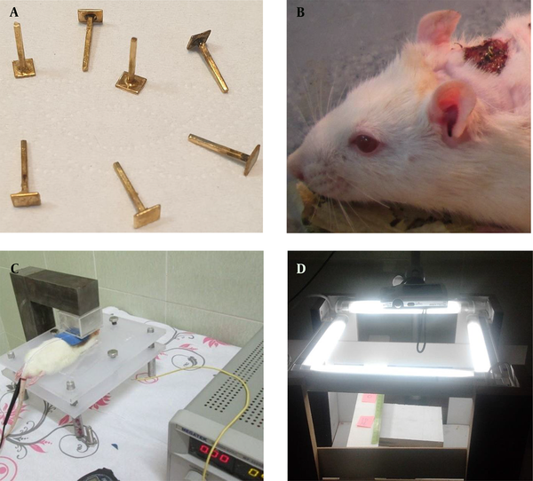 The setups and systems employed in the study. The gold bar electrodes (A) were implanted in the center of the wounds (B). The MDC setup consists of a neodymium-based permanent magnet and a manual electrical stimulator (C). The camera setup (D).