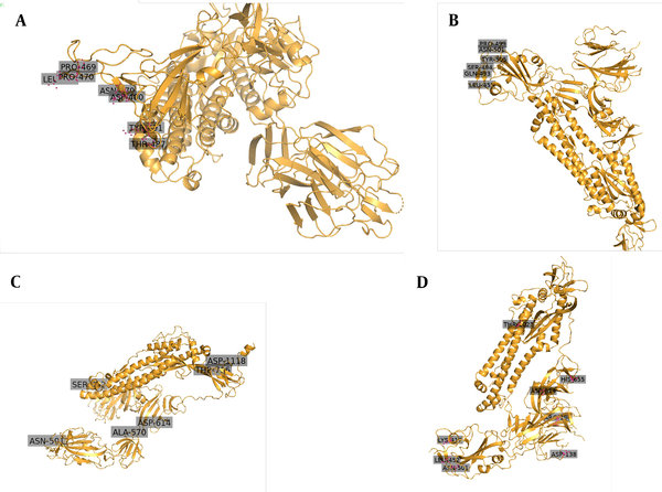 The 3D images indicating the location of the key mutations. A, SARS-CoV; B, SARS-CoV-2; C, B.1.1.7 lineage; and D, B.1.617 lineage (images are from PyMOL Molecular Graphics System, Version 2.0 Schrödinger, LLC).