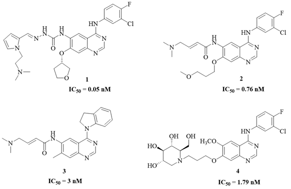The structures of some potent EGFR-TKIs containing quinazoline moiety.
