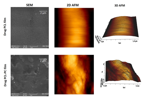 Scanning electron microscopy (SEM) and atomic force microscopy (AFM) [two-dimensional (2D) and three-dimensional (3D)] images of indomethacin polycaprolactone (PCL) film (upper panel) and indomethacin PCL-phosphatidylcholine (PC) film (lower panel).