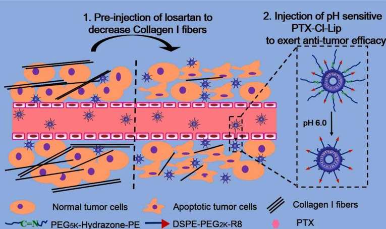 State of the Art of Stimuli-Responsive Liposomes for Cancer